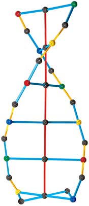 DNA Double helix